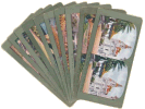 Stereoview Cards
