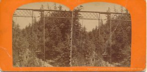 Watkins Glenn stereoview image