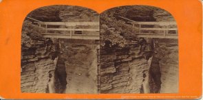 Watkins Glenn stereoview image