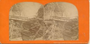 Watkins Glenn stereoview image