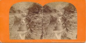 Watkins Glenn stereoview image