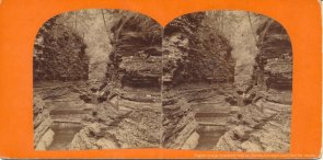 Watkins Glenn stereoview image