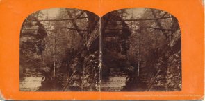 Watkins Glenn stereoview image